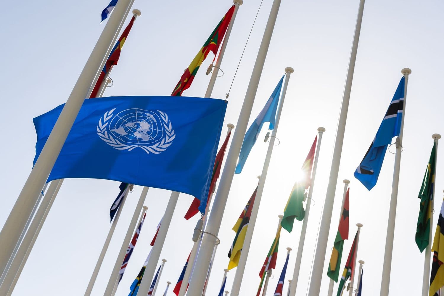 WFP UN Flag
