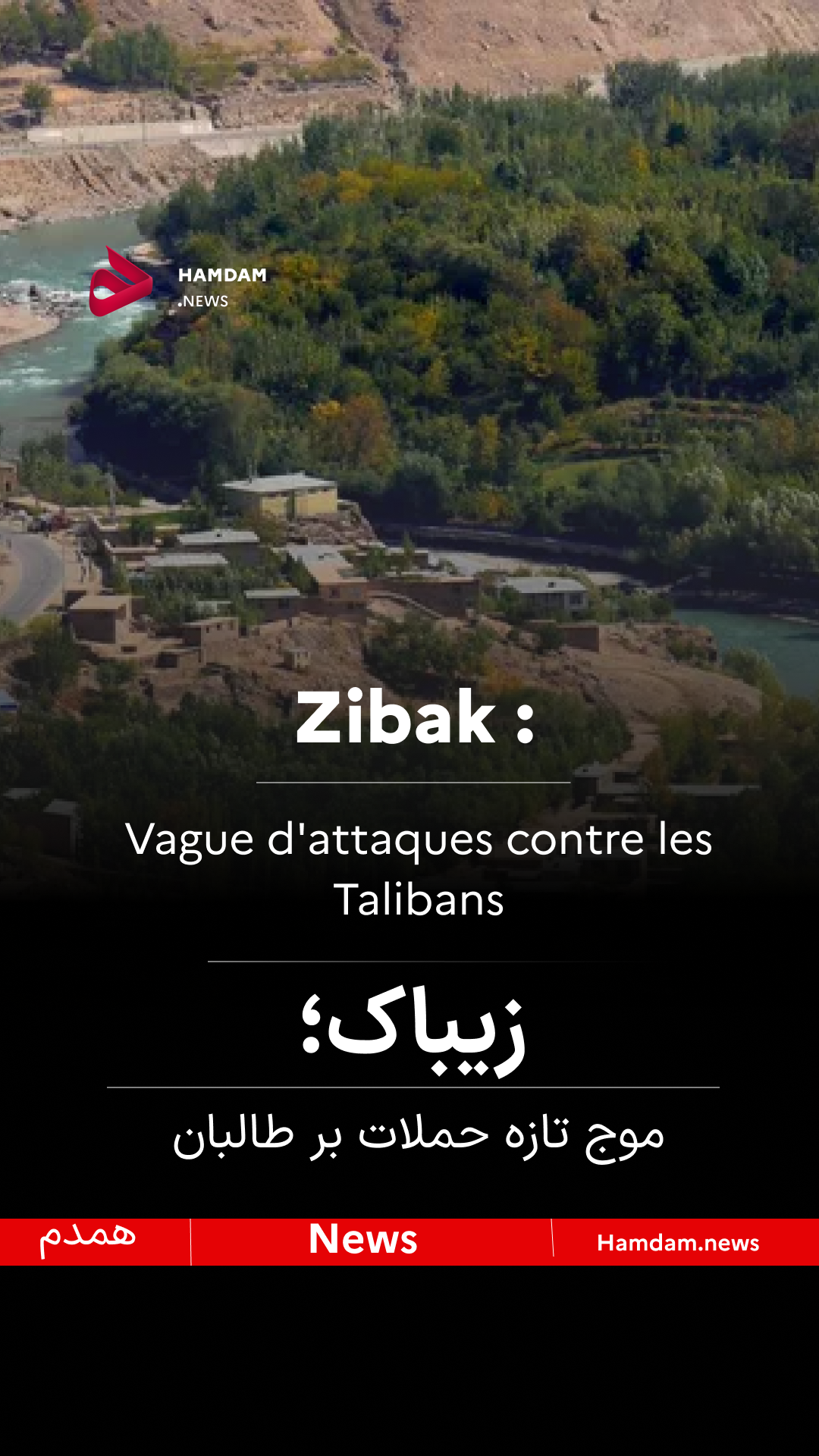 زیباک؛  موج تازه حملات بر طالبان