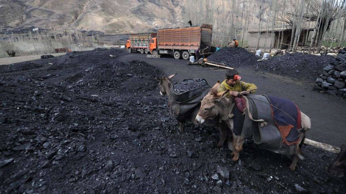 معدن زغال سنگ بغلان